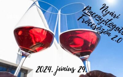 NYÁRI PINCENYITOGATÓ &nbsp;&nbsp;