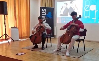 NEM ART FESZTIVÁL KALOCSÁN